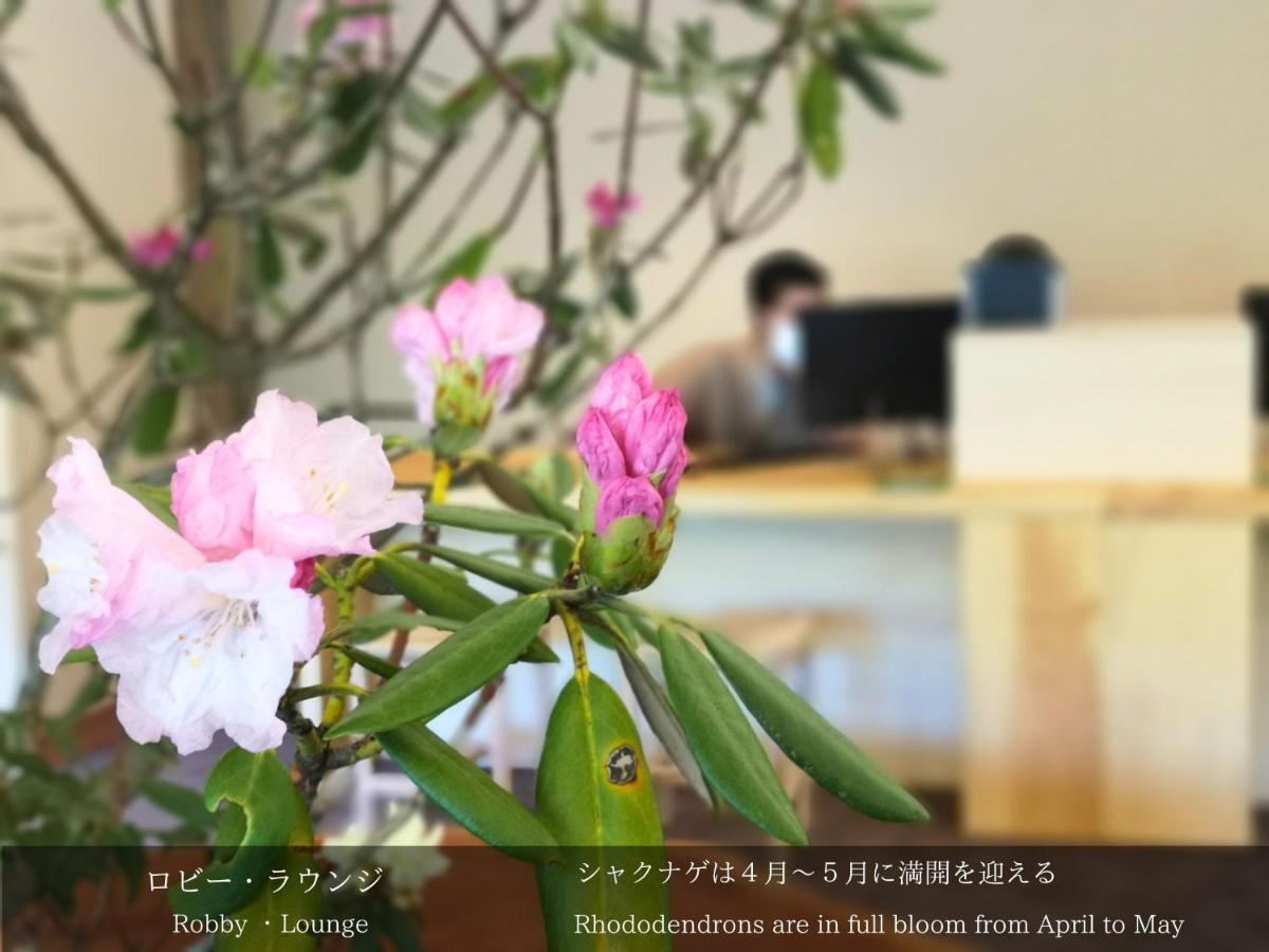 Tatsuta Ryokan Izu  Luaran gambar